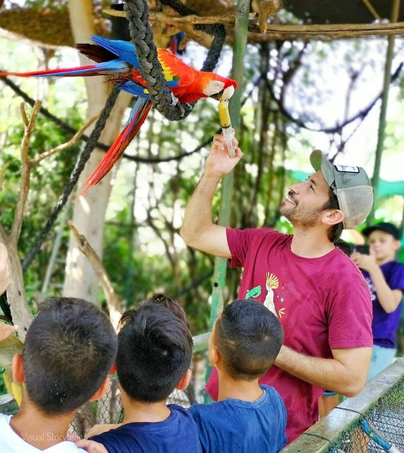 ג'ונגל כיף: עושים חיים עם החיות